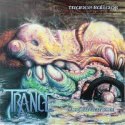 Trance (GER) : Metamorphosis Vol.3 (Experience)